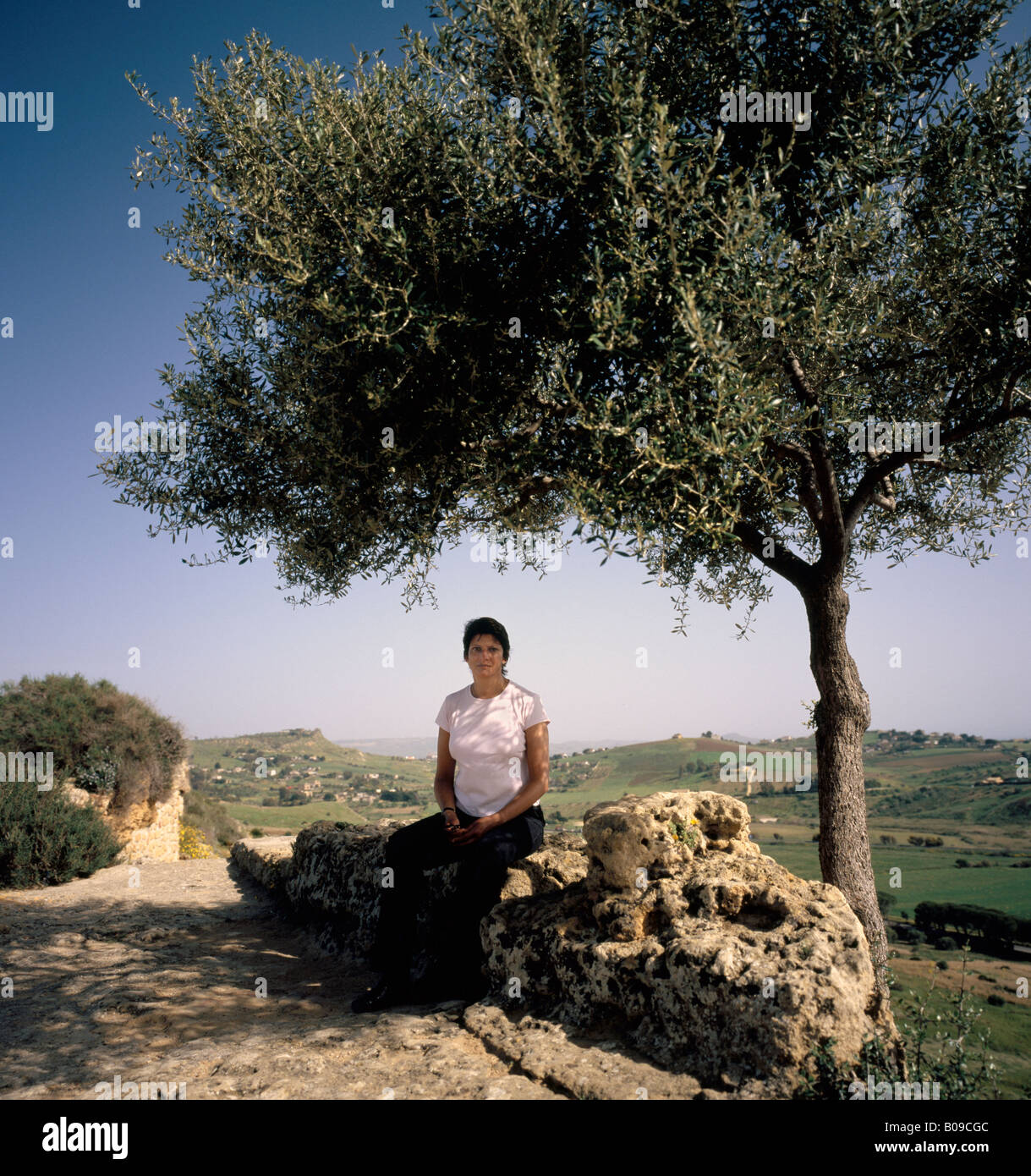 Frau sitzt im Schatten eines Olivenbaumes Sizilien. Stockfoto