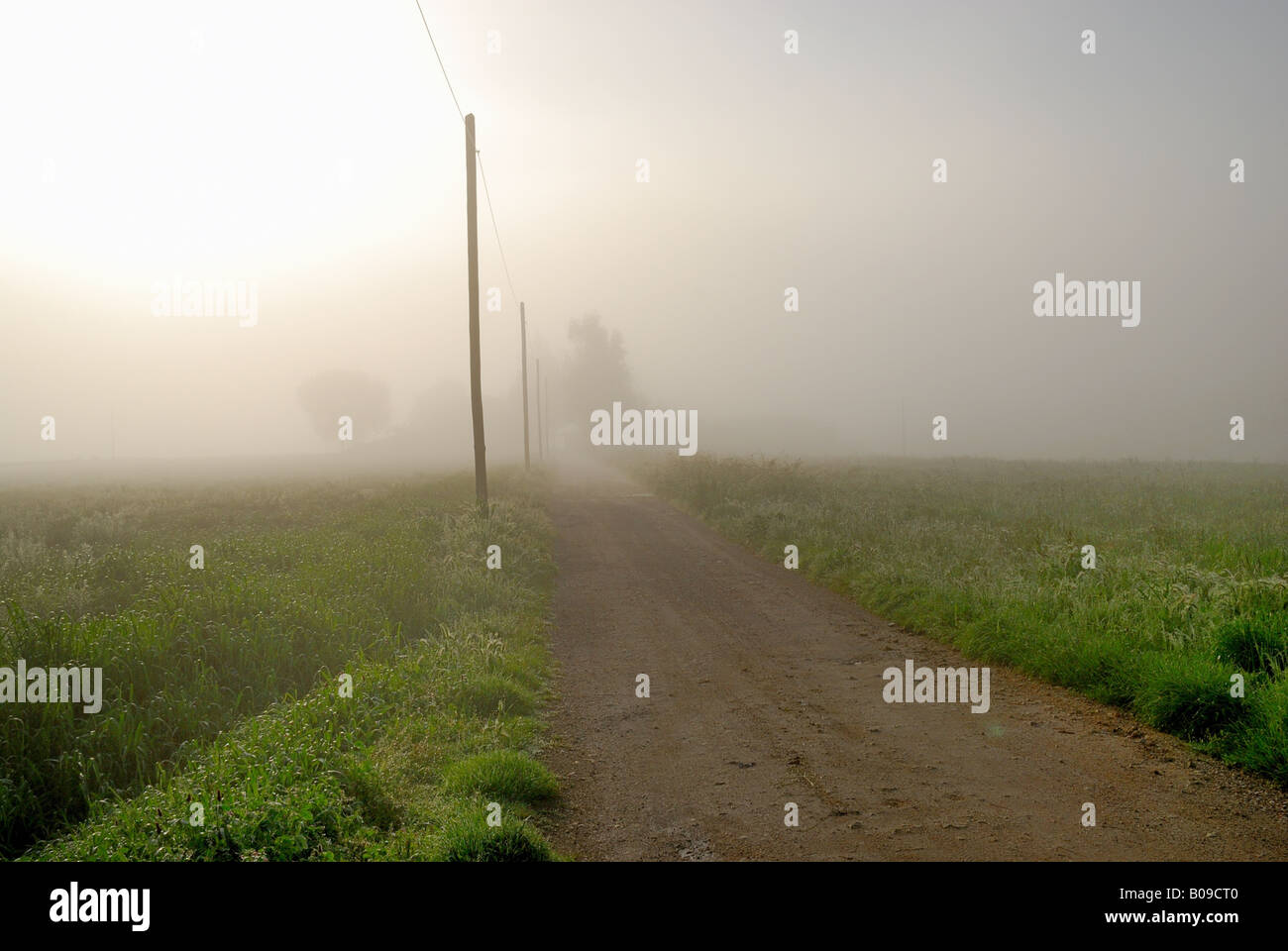 Der Nebel am Morgen Stockfoto