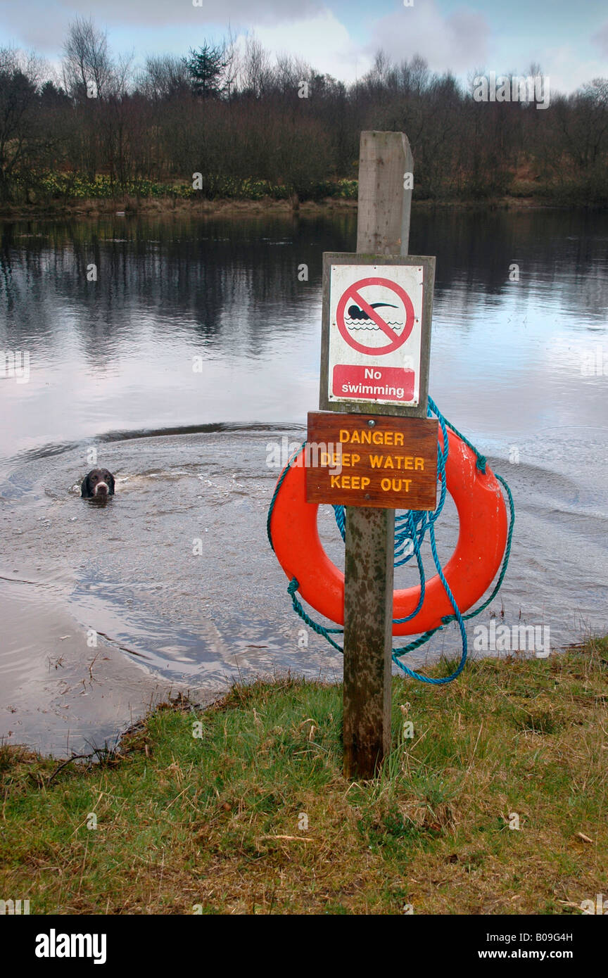 Ein Warnschild mit einem Rettungsring, den Gefahren des Tiefenwassers und Verbot Schwimmen - ein Hund im Wasser schwimmt Stockfoto
