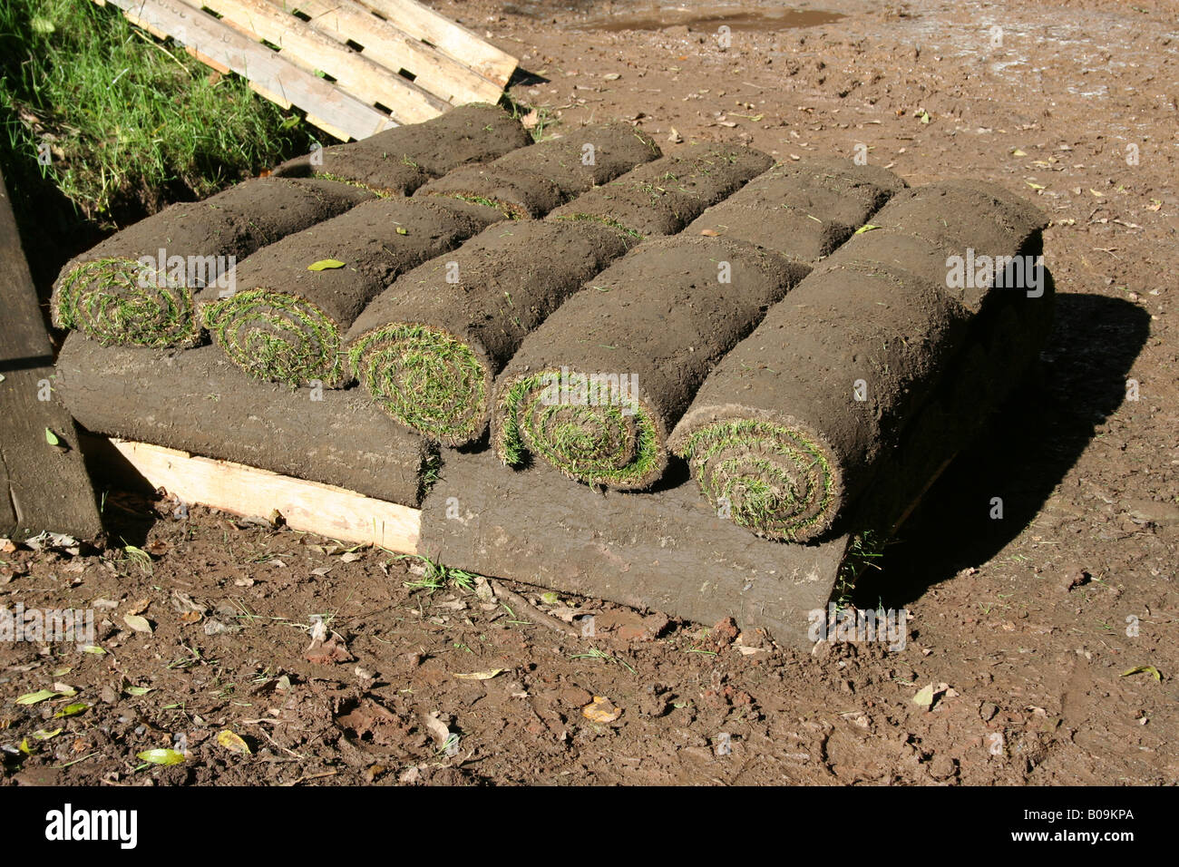 Rasen in die Rollen Garten design Stockfotografie Alamy