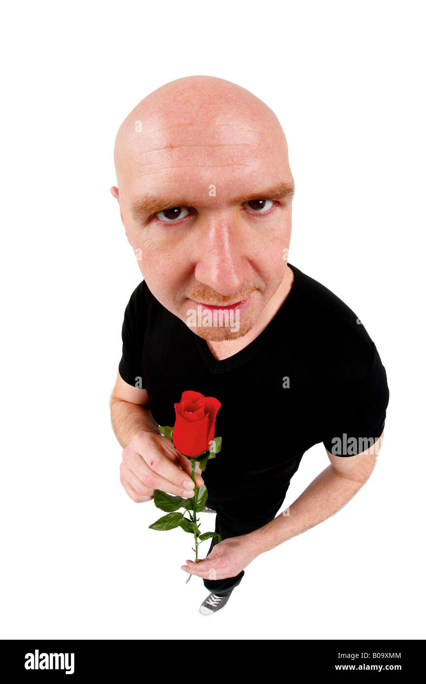Glatze Mann mit roten Rose unter der Leitung Stockfoto