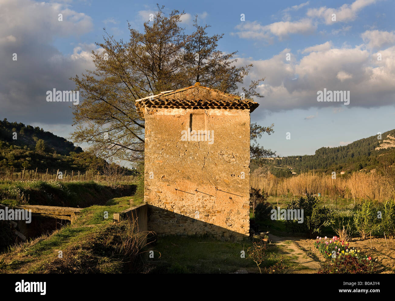 Frühling-Sonnenuntergang über einer Scheune in einem französischen Weinberg Stockfoto