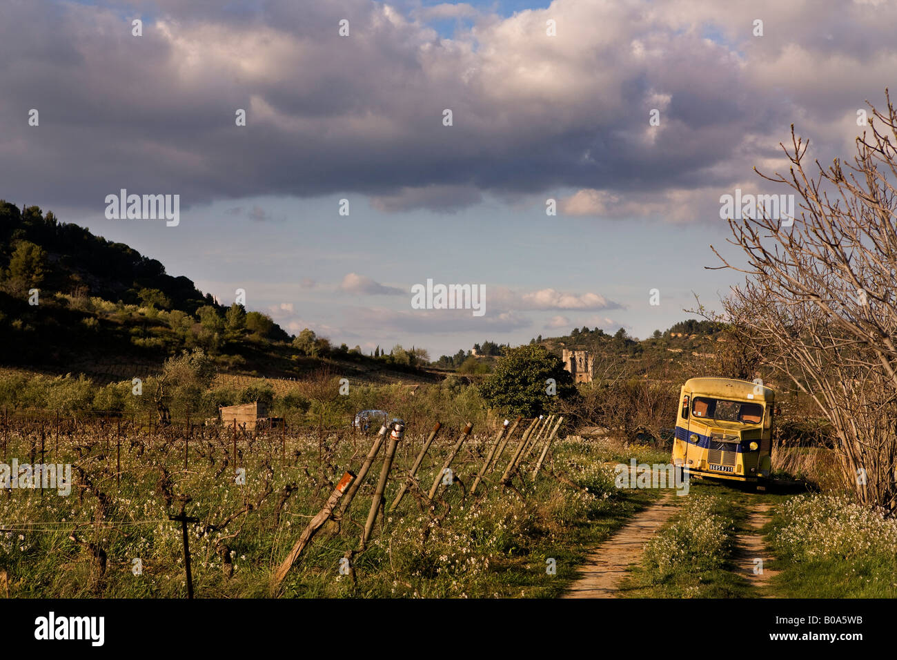 klassische Citron cv LKW geparkt am Ende einer Gasse Rasen auf einem französischen Bauernhof Stockfoto