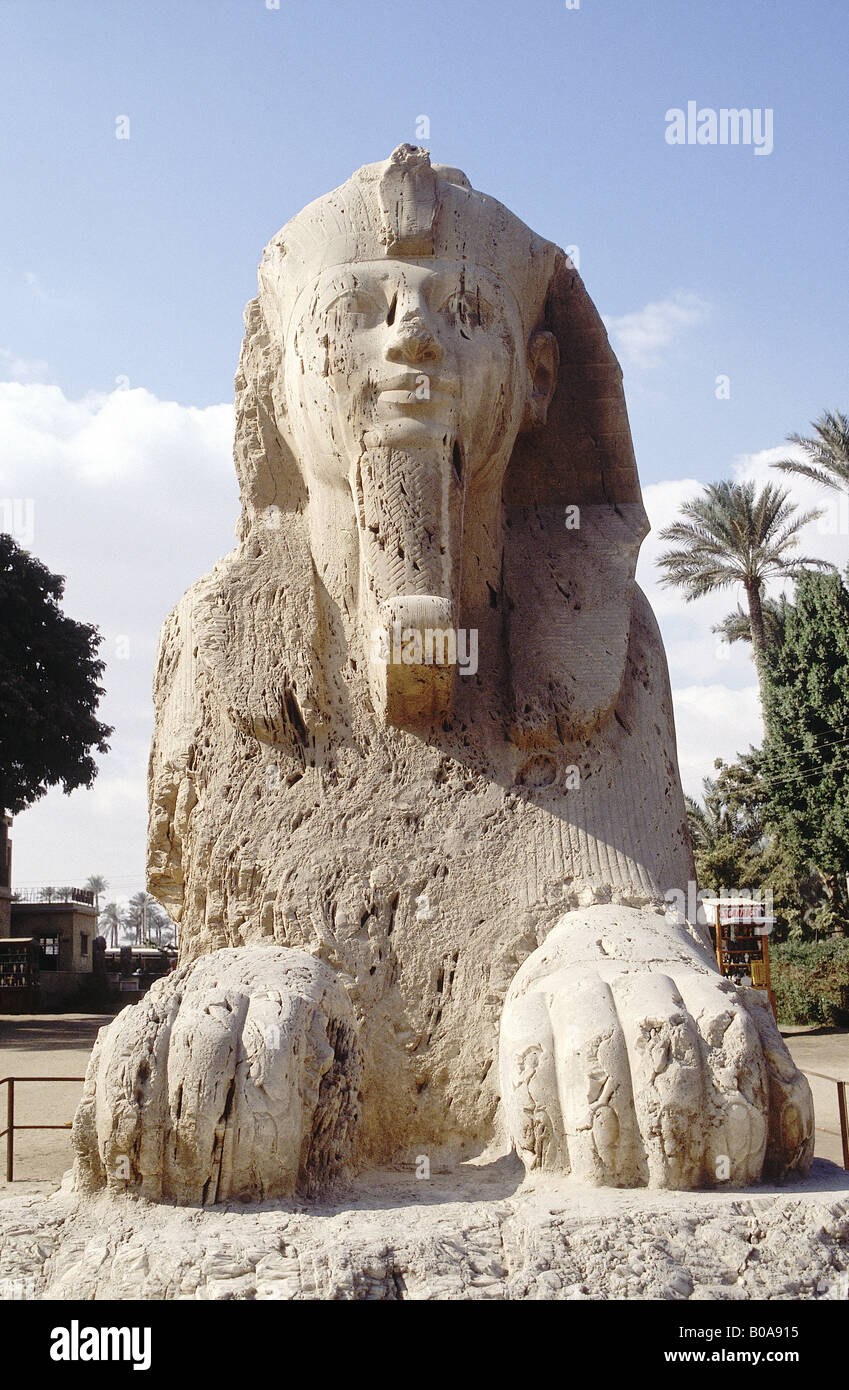 Kopf und Körper des Riesen Alabaster Sphinx Löwe Füße Kopfschmuck Schuss von unten Kopf blickte MEMPHIS Kairo Ägypten Stockfoto