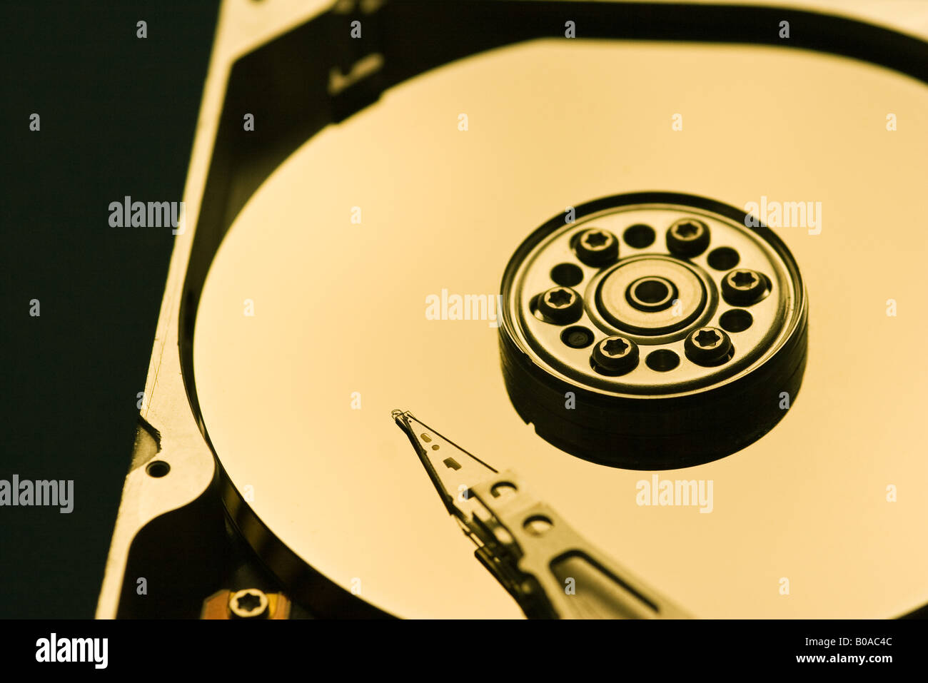 Festplatte des Computers, close-up Stockfoto