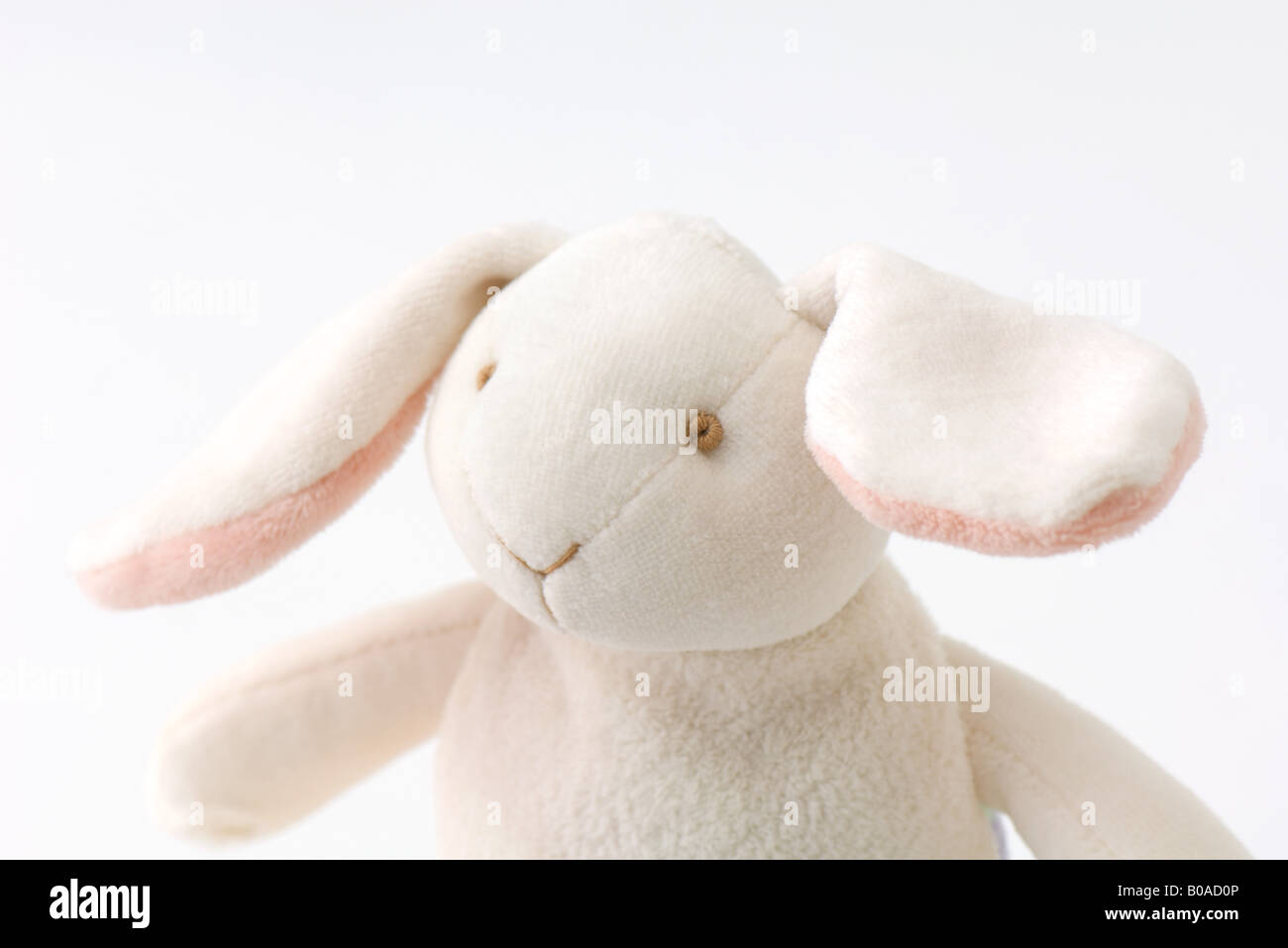 Stofftier Kaninchen, portrait Stockfoto