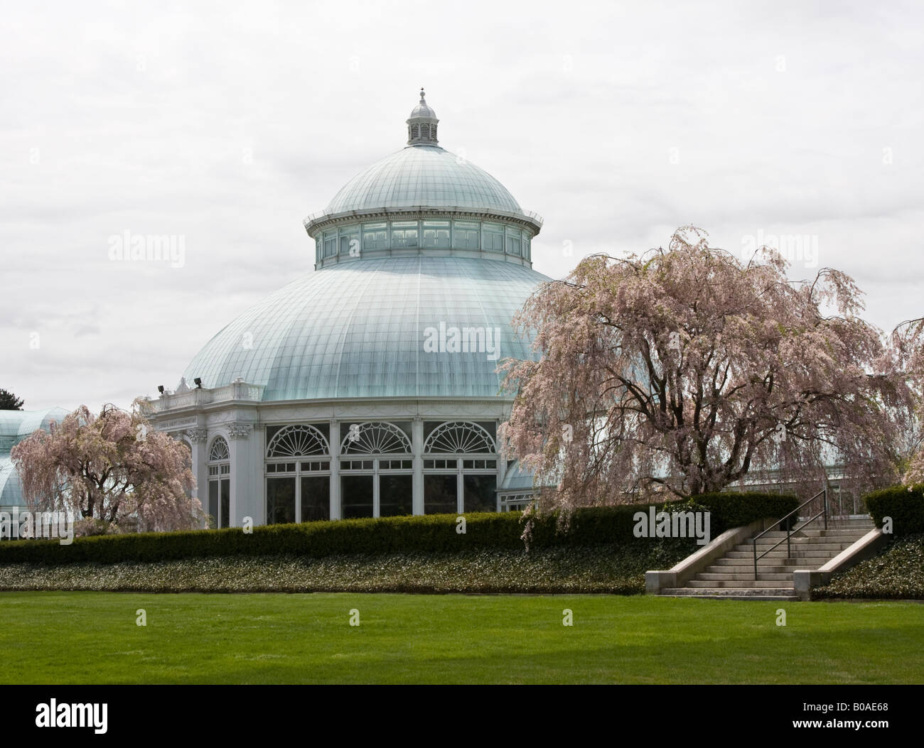 Wichtigsten Gebäude des New York Botanical Garden Steinhardt Wintergarten Stockfoto