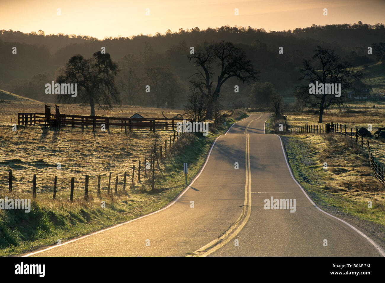 Sunrise Licht über ländlichen Kreisstraße im Alpenvorland in der Nähe von Plymouth Amador County in Kalifornien Stockfoto