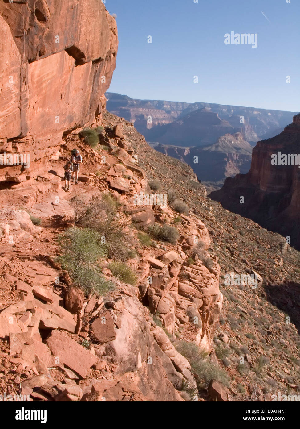 Vater und Sohn wandern im Grand Canyon Stockfoto