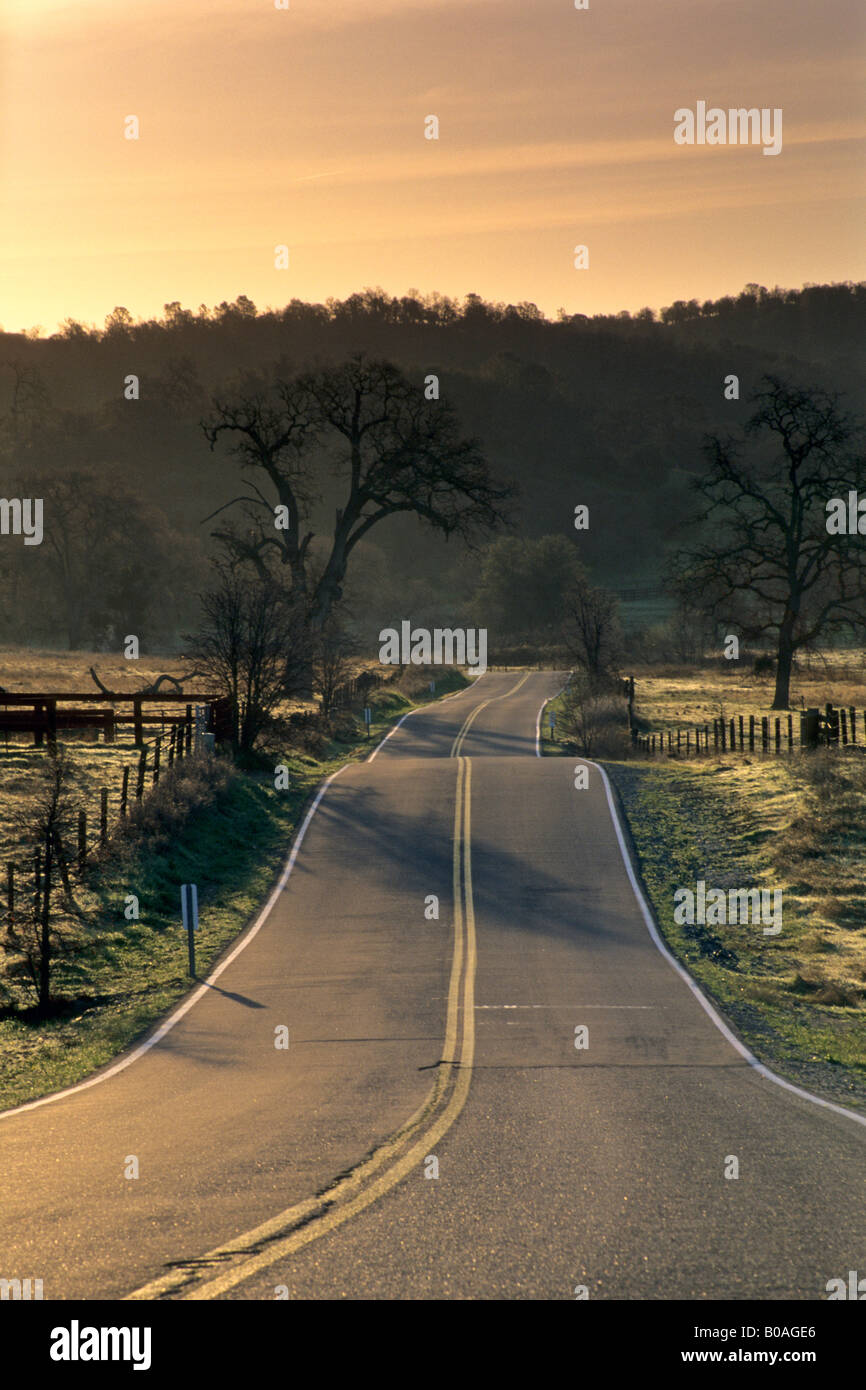 Sunrise Licht über ländlichen Kreisstraße im Alpenvorland in der Nähe von Plymouth Amador County in Kalifornien Stockfoto