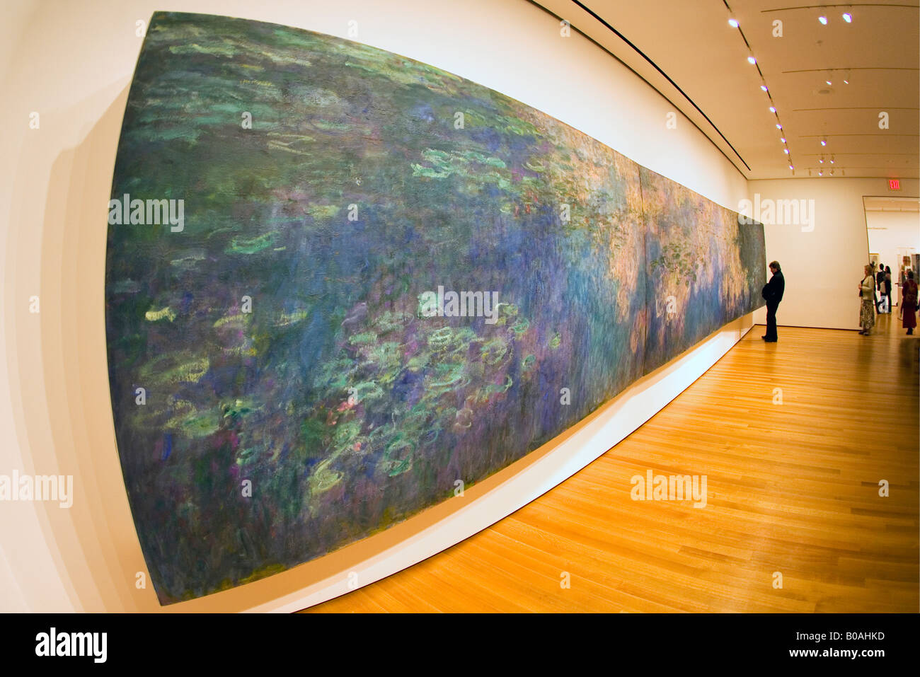 Almindelig Haiku Abe MOMA Museum of Modern Art Innenraum mit Frau bewundern die Gemälde von  Seerosen von Claude Monet Manhattan NY NYC Stockfotografie - Alamy