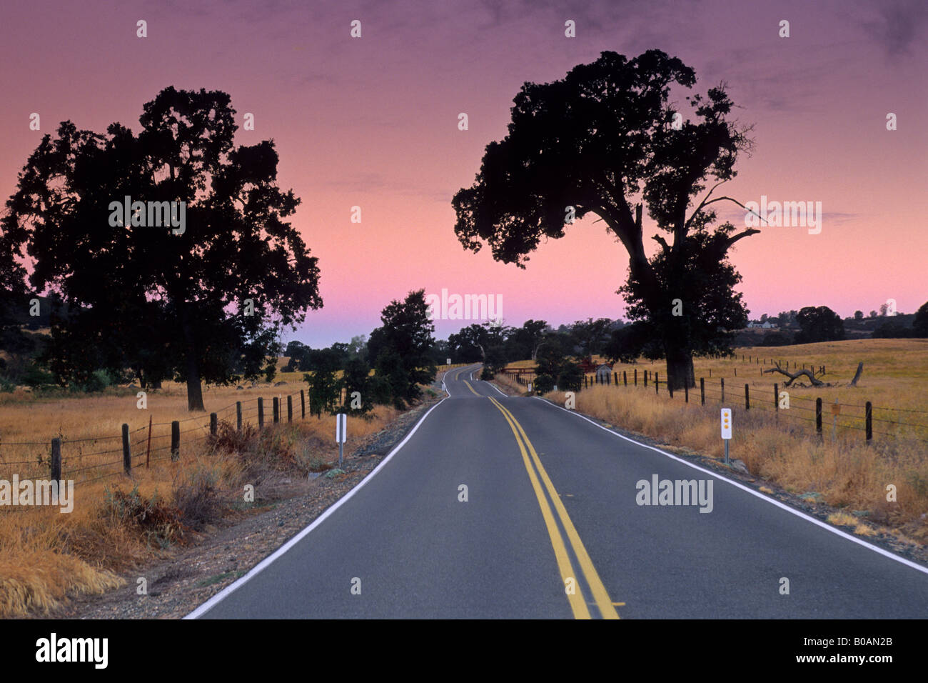 Morgenlicht über Landstraße in der Nähe von Plymouth Shenandoah Valley Amador County in Kalifornien Stockfoto