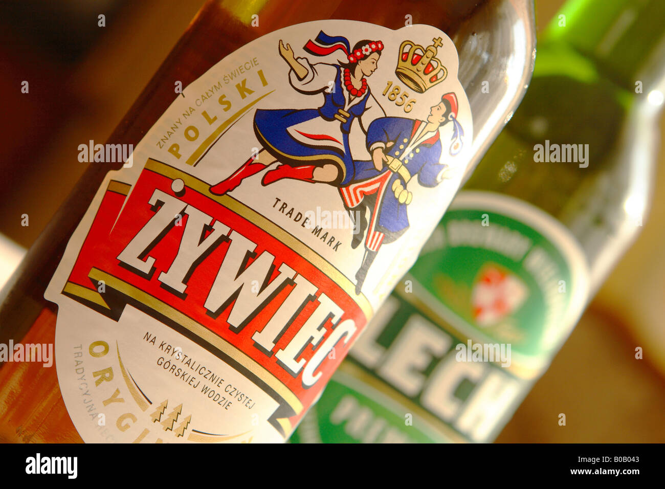 Polnische Bier berühmten Marke Zywiec mit Flasche Lech Bier hinter Stockfoto