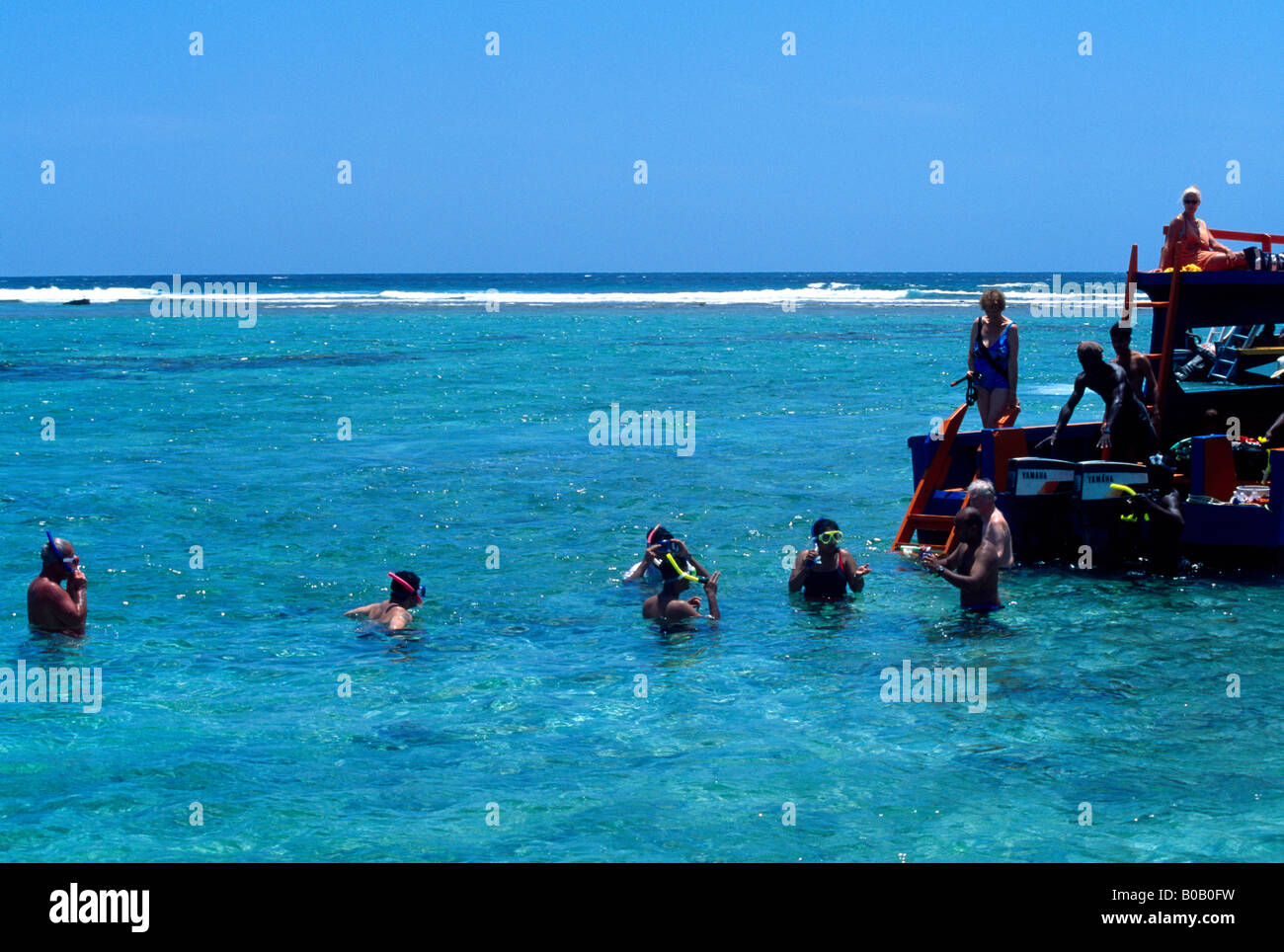 Coral Gardens Tobago Nr Pigeon Point Leute Schnorcheln Stockfoto