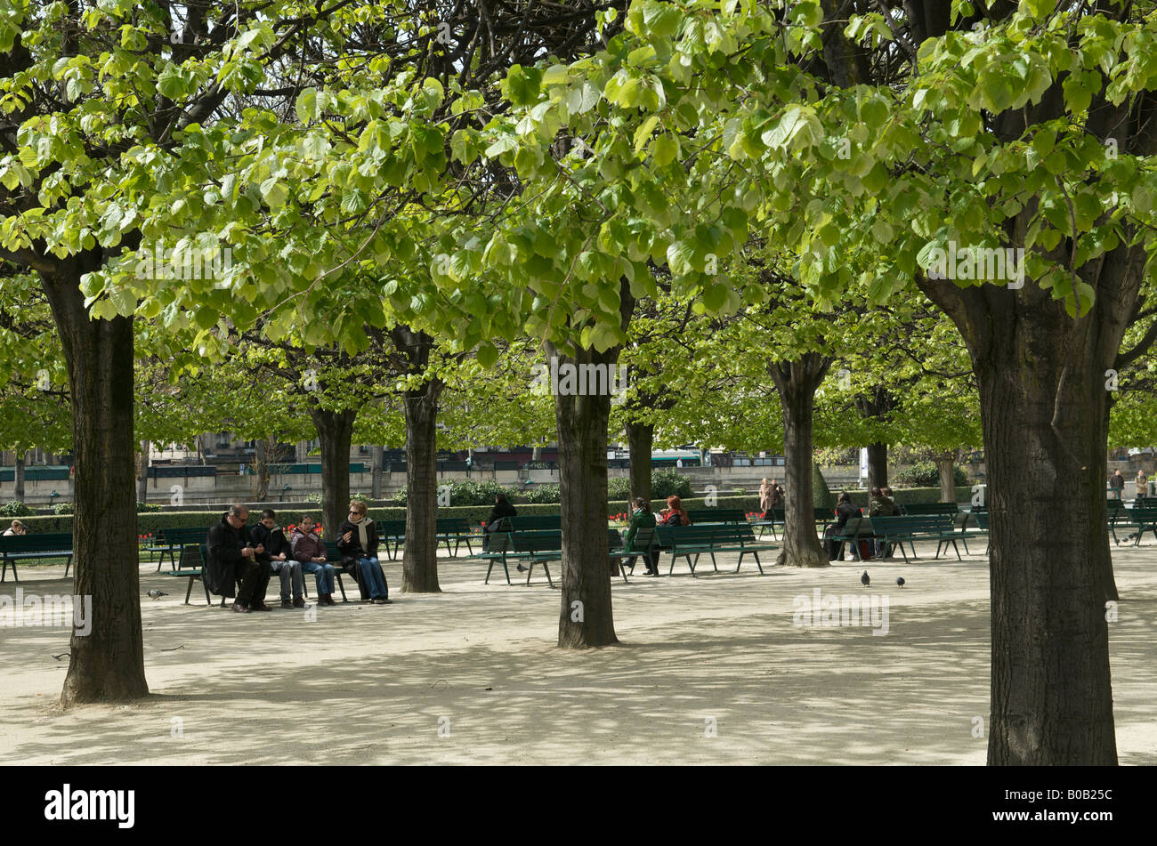 Der Platz de Jean XXIII in Paris Stockfoto