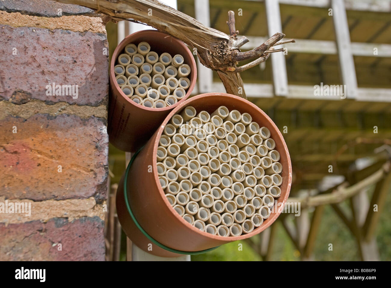 Insektenhaus künstlichen Lebensraum mit hohle Röhren zum Anlocken von Insekten Haus Wand Worcestershire UK Stockfoto
