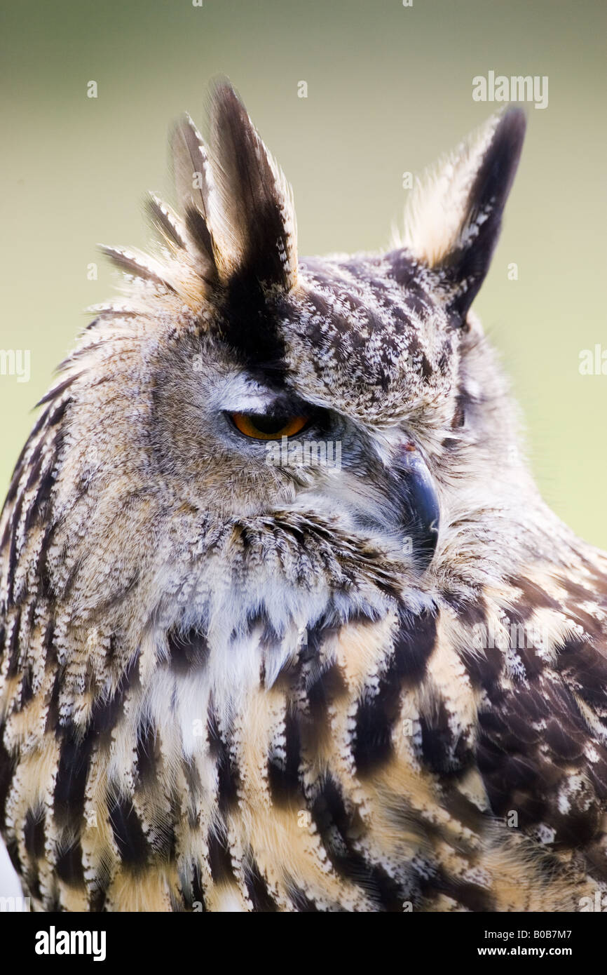 BMW Auto nach einem Crash Oxfordshire-England-Großbritannien Stockfoto