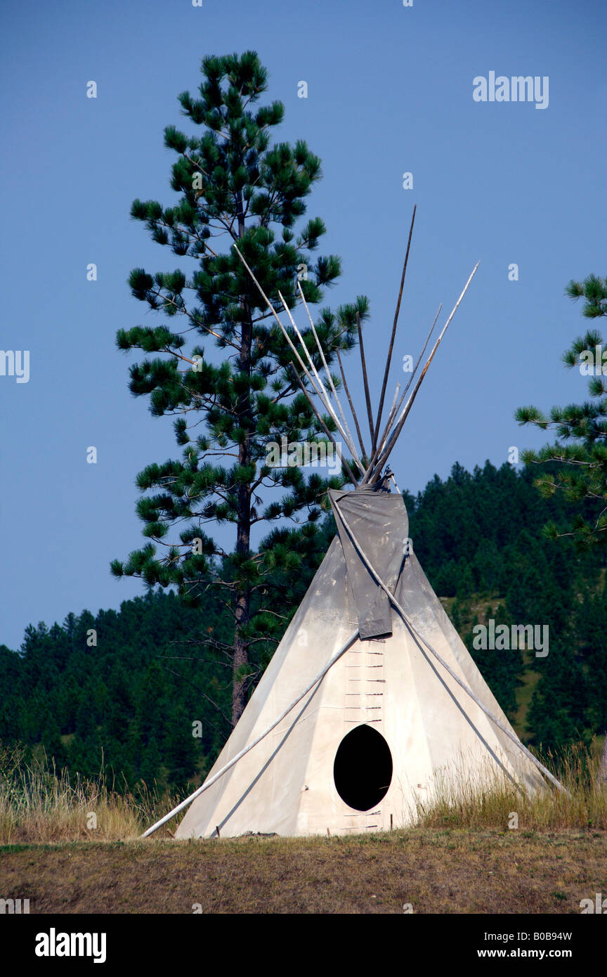 Nordamerika, USA, South Dakota, Totholz. TaTanka Geschichte des Bisons