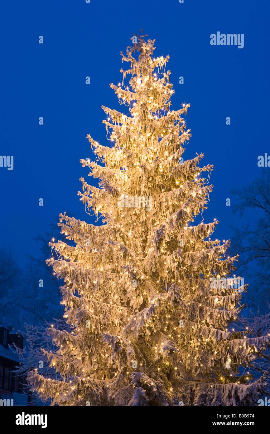 Weihnachtsbaum vor dem Landratsamt in Neustift, Freising, Bayern, Deutschland, Europa. Stockfoto