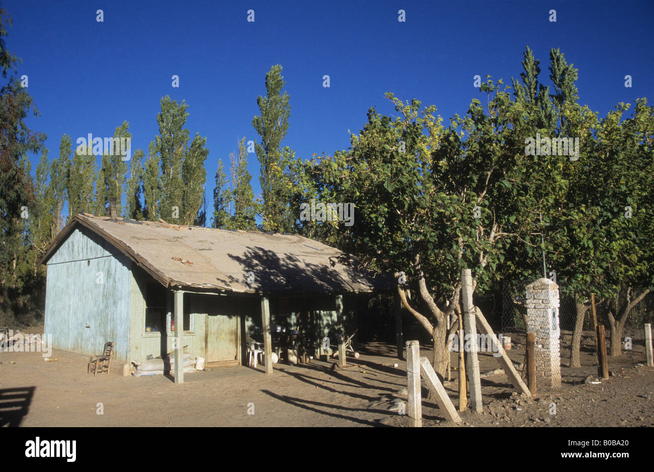 Farm house und Pappeln in der Nähe von Barreal, Calingasta Tal, Argentinien Stockfoto