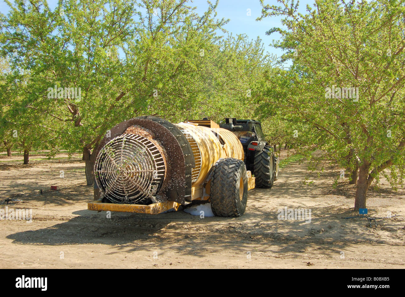 Blattsprühmittel Rig in Mandel Obstgarten Stockfoto