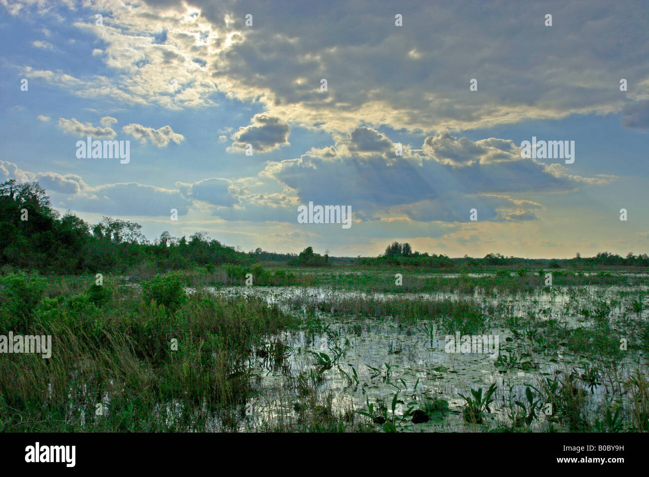 Sonnenuntergang am camping Plattform im National Wildlife Refuge Okefenokee Sumpf Stockfoto