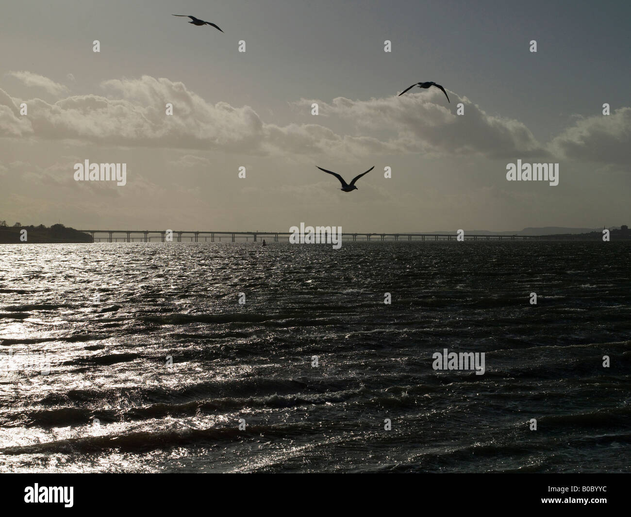Die silbrige Tay von Broughty Ferry, Dundee, Tayside, Schottland Stockfoto
