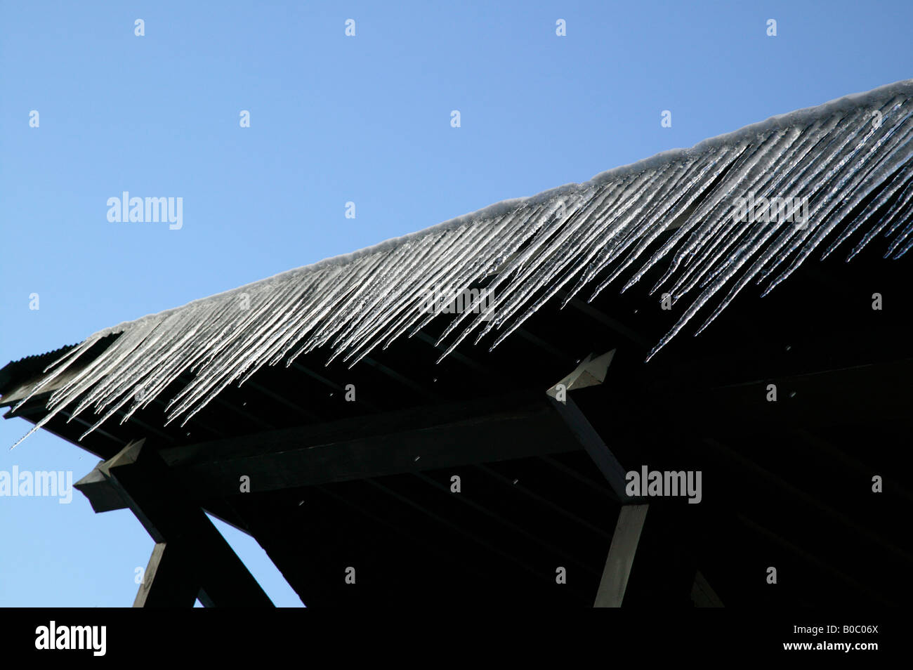 Schuss von Eiszapfen schmelzen in starken Abendsonne Stockfoto