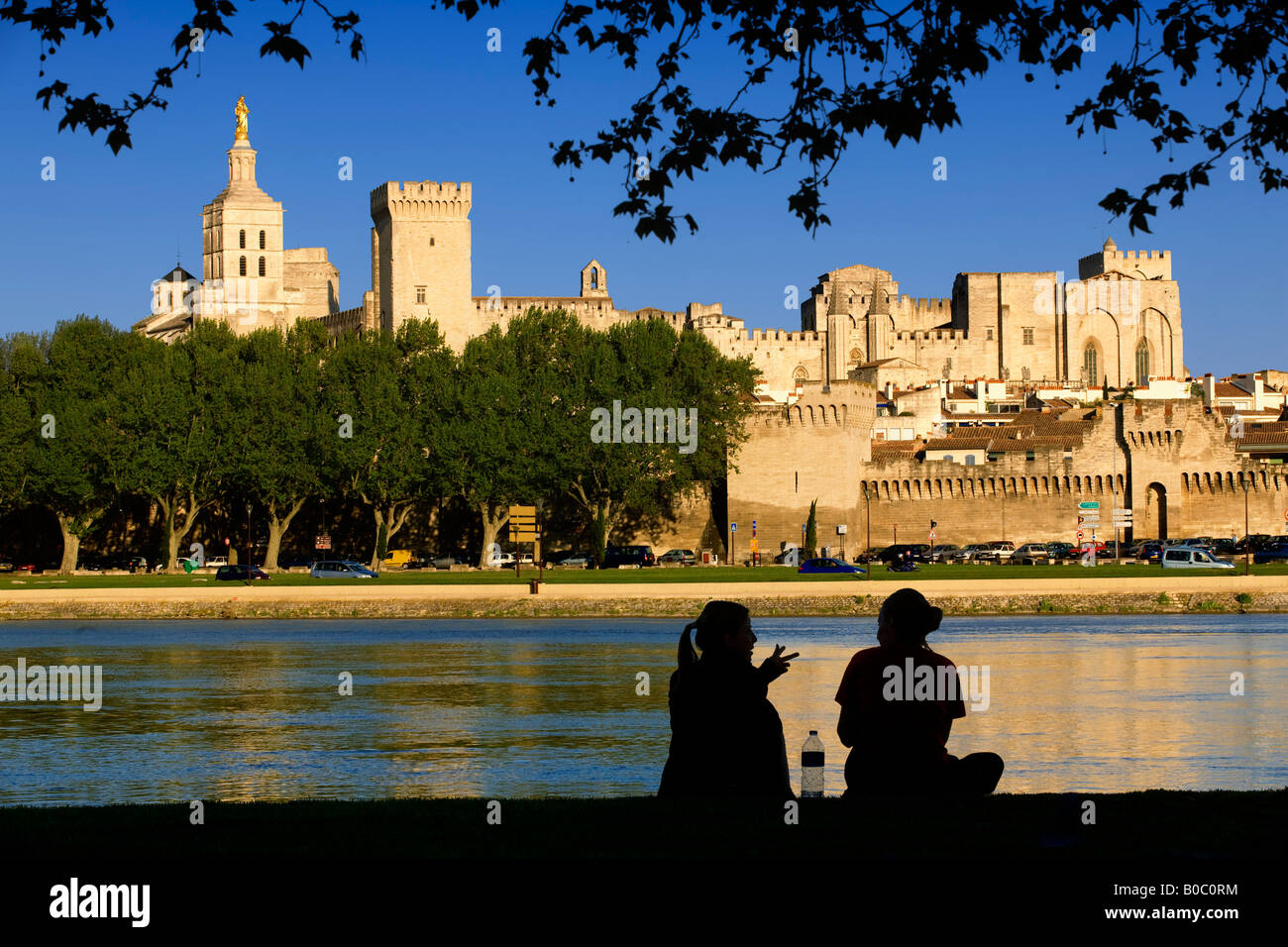 Palais des Papes in Avignon, Frankreich Stockfoto