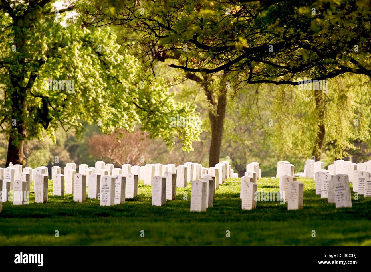 Nationalfriedhof Arlington Washington D.C. Stockfoto