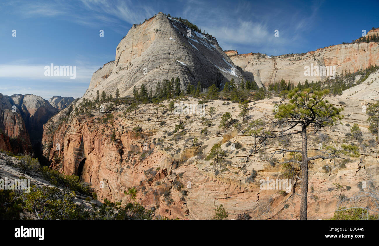 Blick auf Kathedrale Berg Zion Nationalpark, Utah Stockfoto
