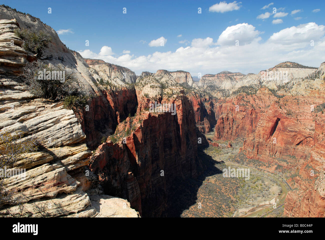 Ansicht des Zion Canyon von der Spitze der Angel es Landing im Zion Nationalpark Stockfoto