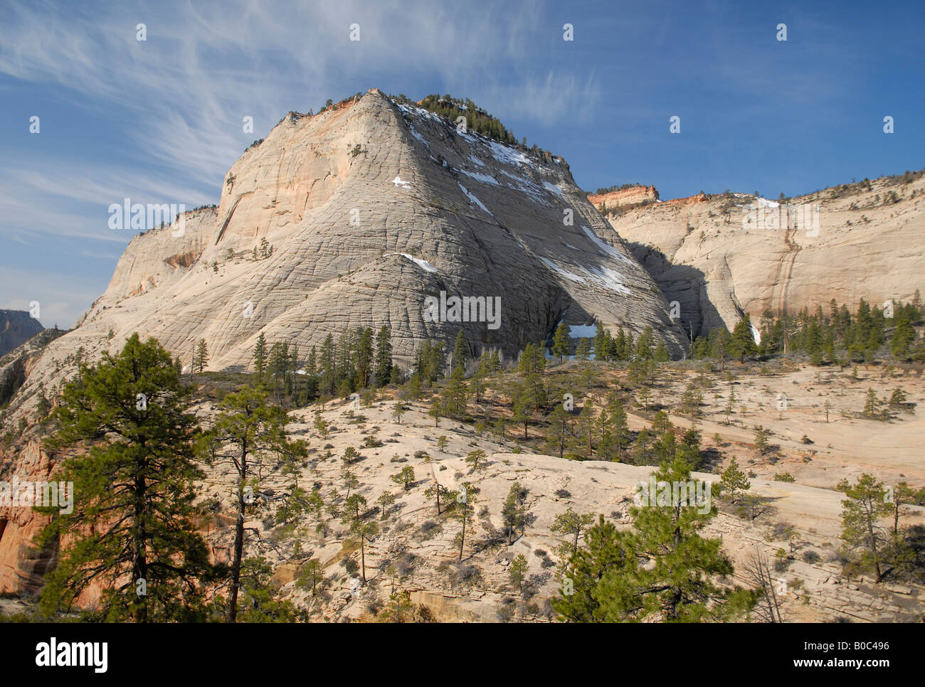 Blick auf Kathedrale Berg Zion Nationalpark, Utah Stockfoto