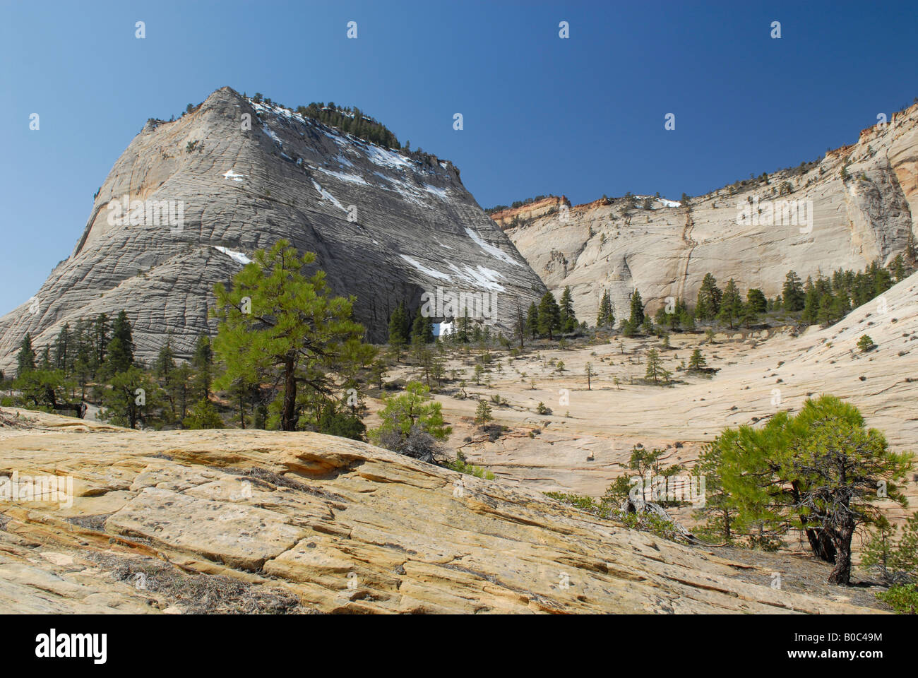 Kathedrale Berg Zion Nationalpark, Utah Stockfoto