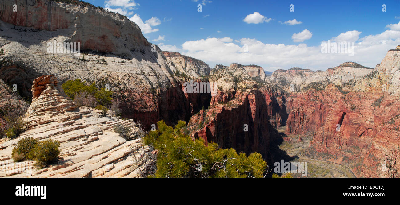 Panoramablick über Zion Canyon von der Spitze des Engels Landing im Zion Nationalpark Stockfoto