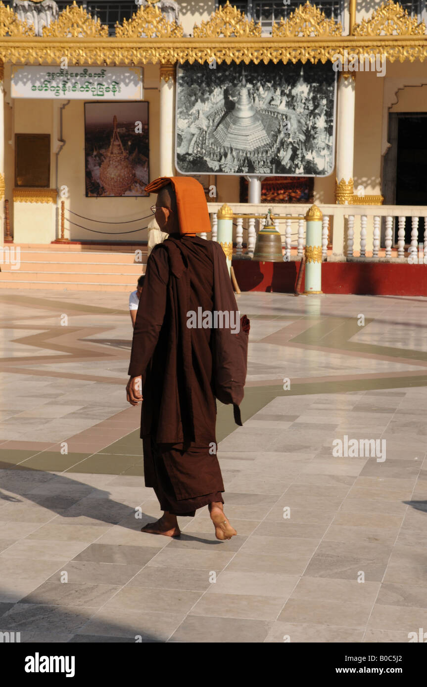 Myanmar Burma Yangon Rangun Shwedagon Pagode buddhistischen Nonnen Stockfoto