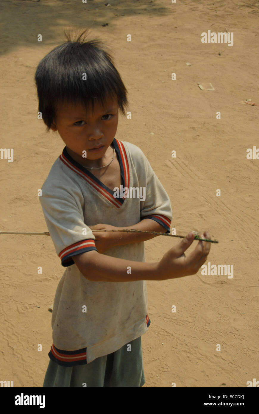 Minderheit junge Fang Zikade ist für Lebensmittel, Mae Hong Son, thailand Stockfoto