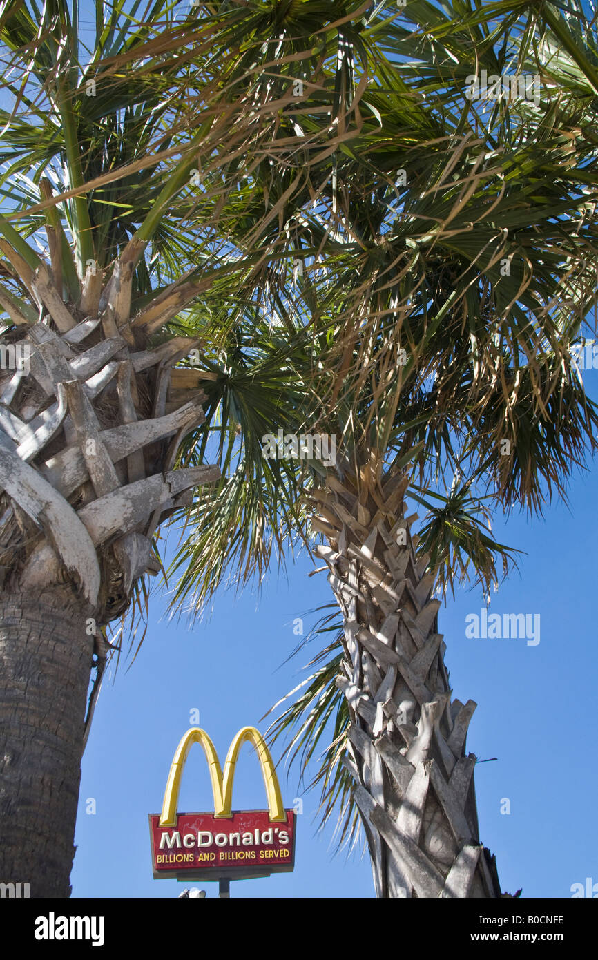 Die goldenen Bögen der McDonald's-Zeichen zwischen zwei Kohl oder Sabal Palmen, der Zustandbaum von Florida. Stockfoto