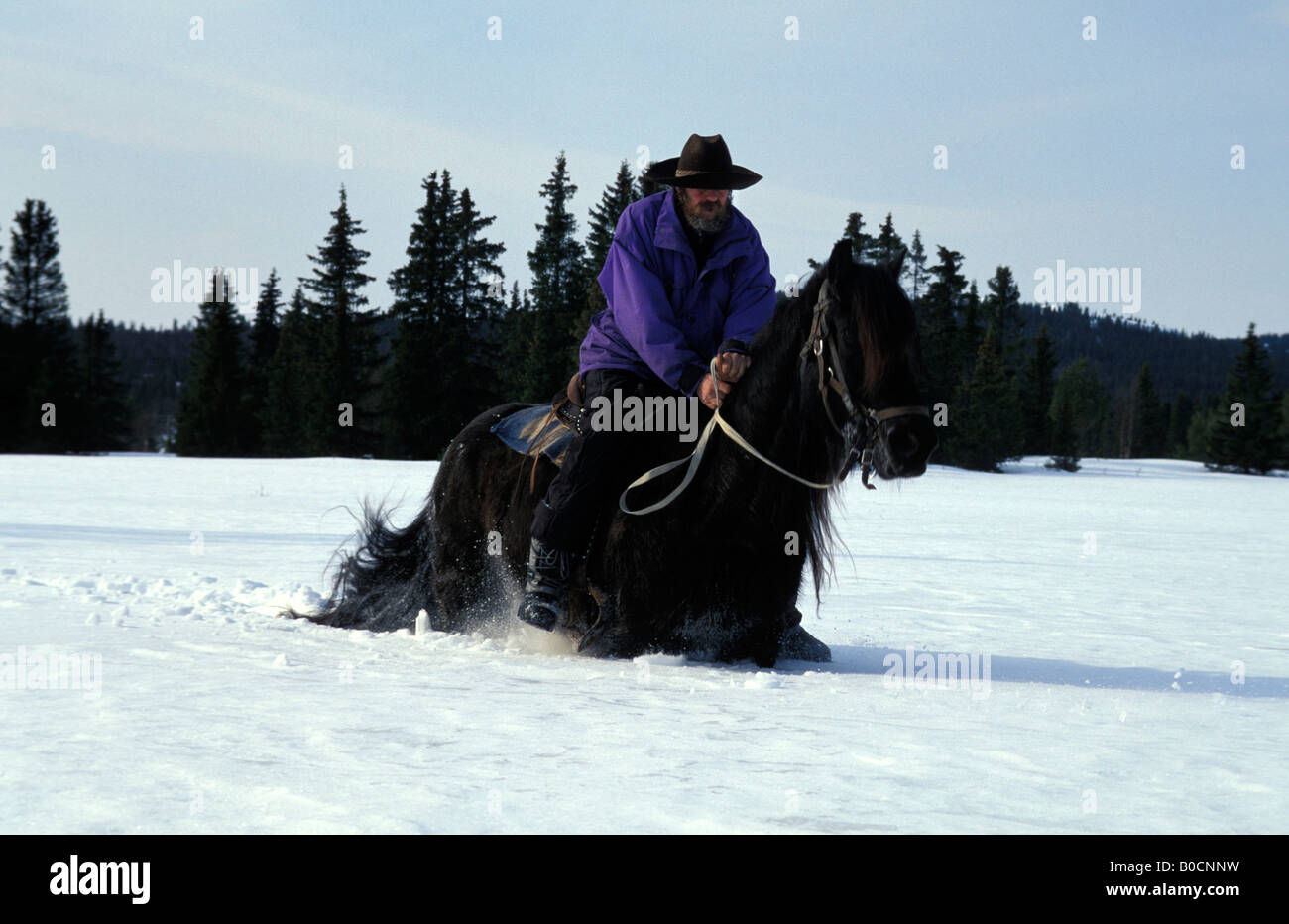 Gol-Reiten im Schnee Stockfoto