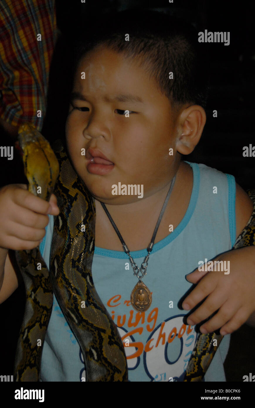 kleiner Junge spielt mit Schlange Haustier, Bangkok, thailand Stockfoto
