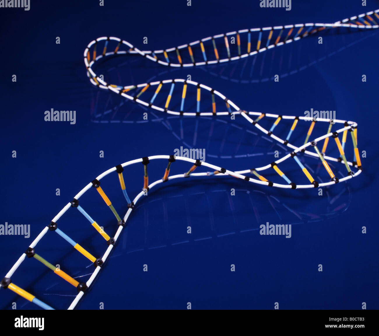 DNA-MOLEKÜL BESTEHEND AUS ZWEI STRÄNGE UMEINANDER VERDREHT EINE DOPPELHELIX BILDEN Stockfoto