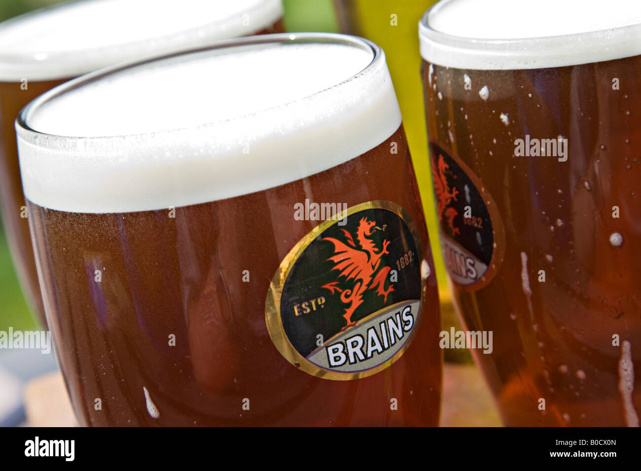 Gehirne Bierglas mit Pint Bier Wales UK Stockfoto