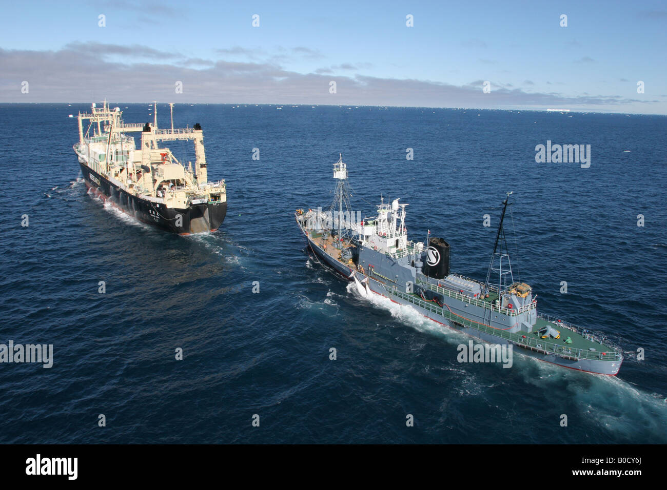 Japanische Walfangflotte in Aktion, Übertragung eines Toten Zwergwal vom Fänger liefern Fabrikschiff, Südpolarmeer, 2005. Stockfoto