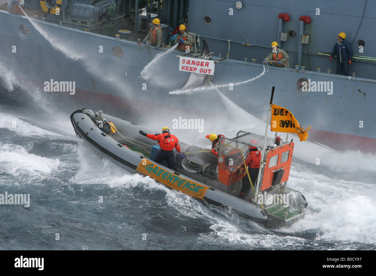 Greenpeace-Aktivisten versuchen, die Übertragung von einem Toten Zwergwal von der japanischen Flotte Catcher Walfangschiff, 2006 zu behindern. Stockfoto