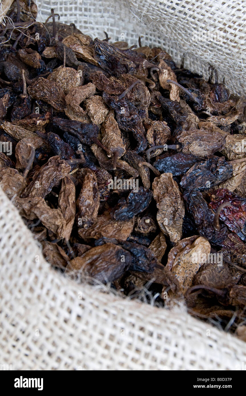 Plünderung Chipotle Chilis. Smokey und vollmundig im Geschmack. Sie sind eine getrocknete geräucherte Jalapeno Chilis. Stockfoto