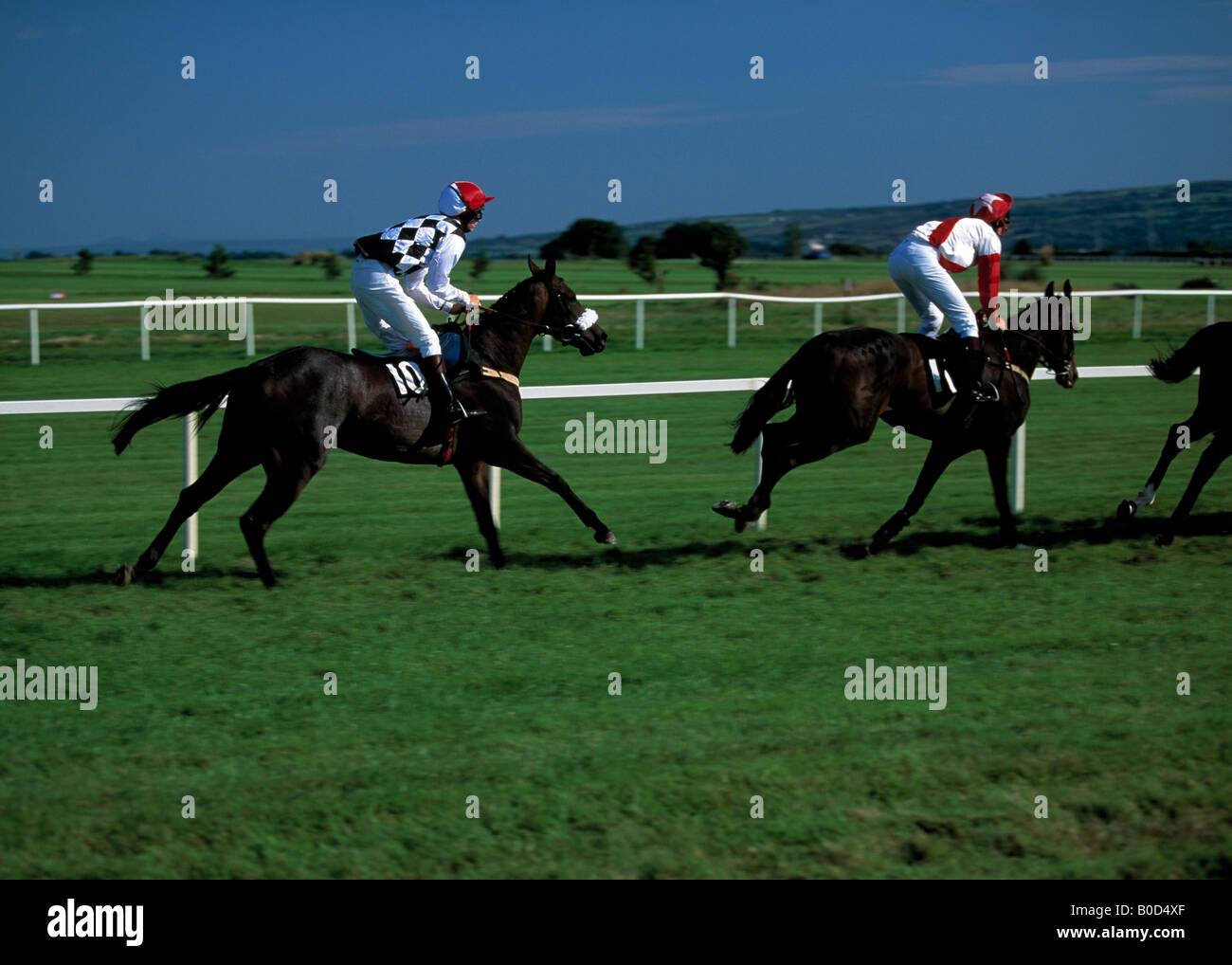 irischen Pferderennen auf dem flachen, Stockfoto