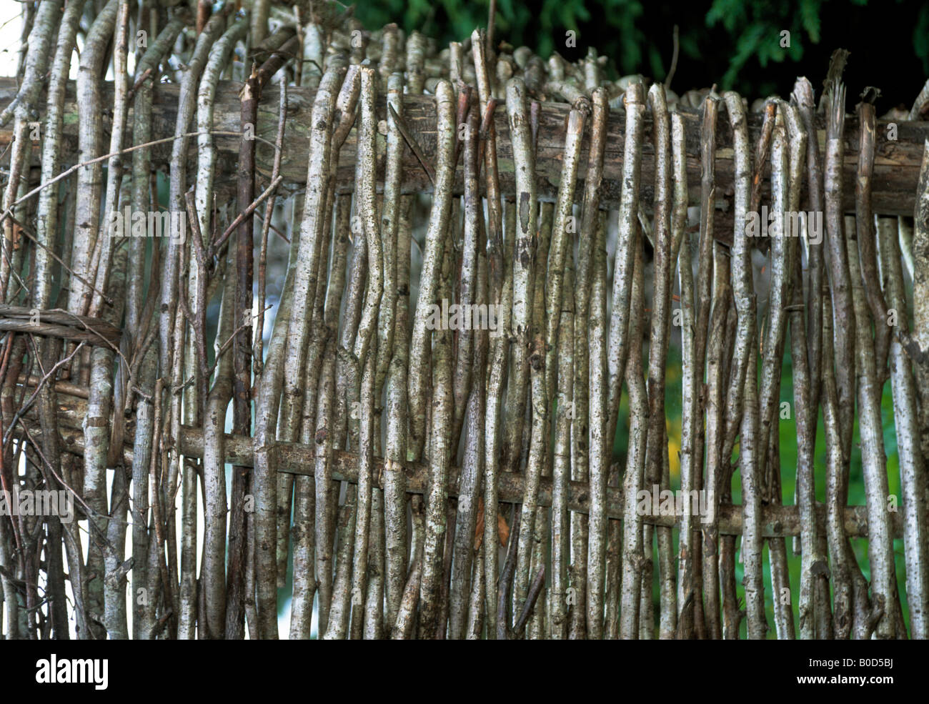 natürliches Material für Korbwaren Stockfoto