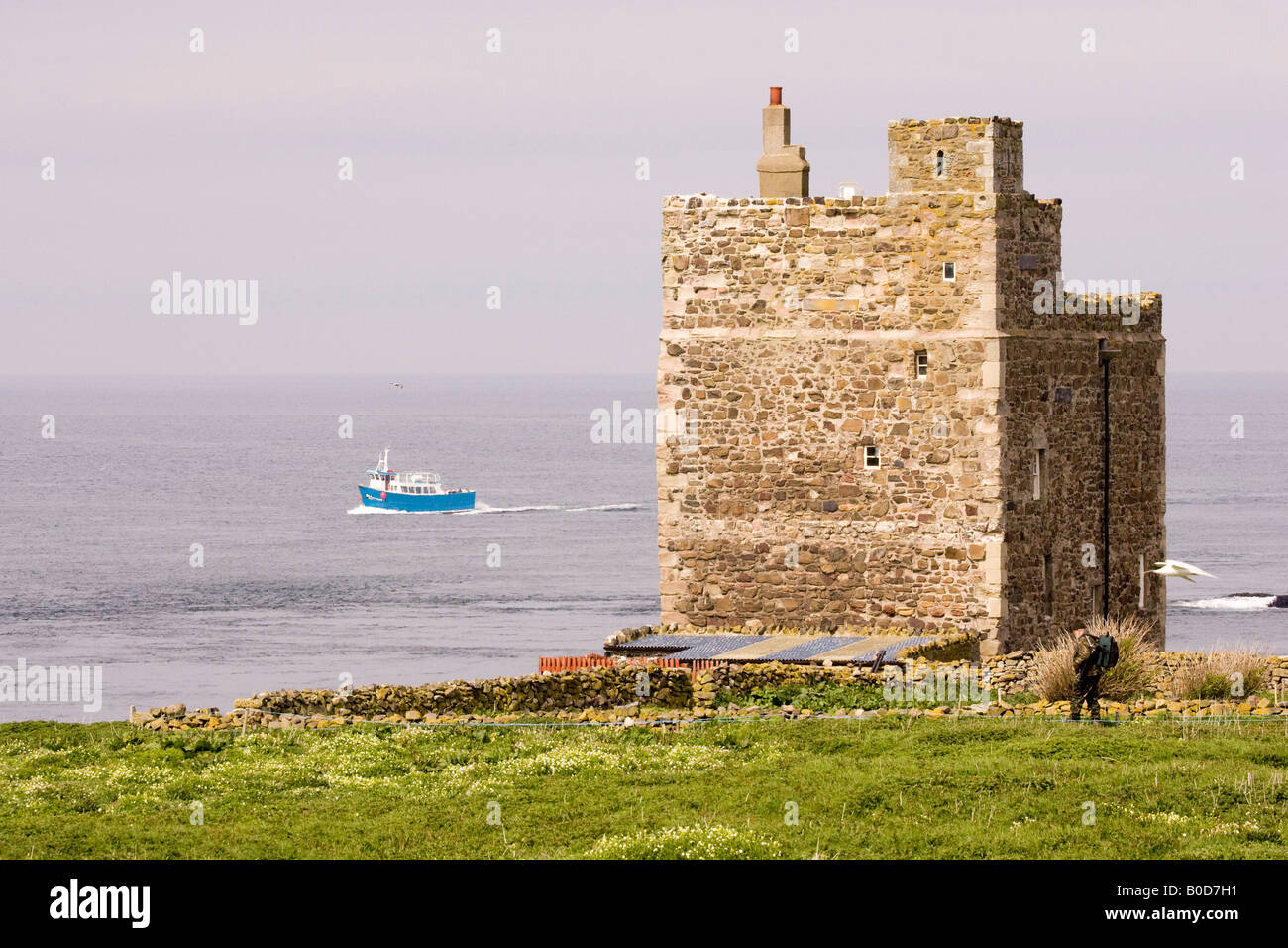 Pele-Turm (erbaut im Jahr 1500) mit Ausflugsschiff heraus zum Meer auf Inner Farne, Farne Islands, Northumberland, England, UK Stockfoto