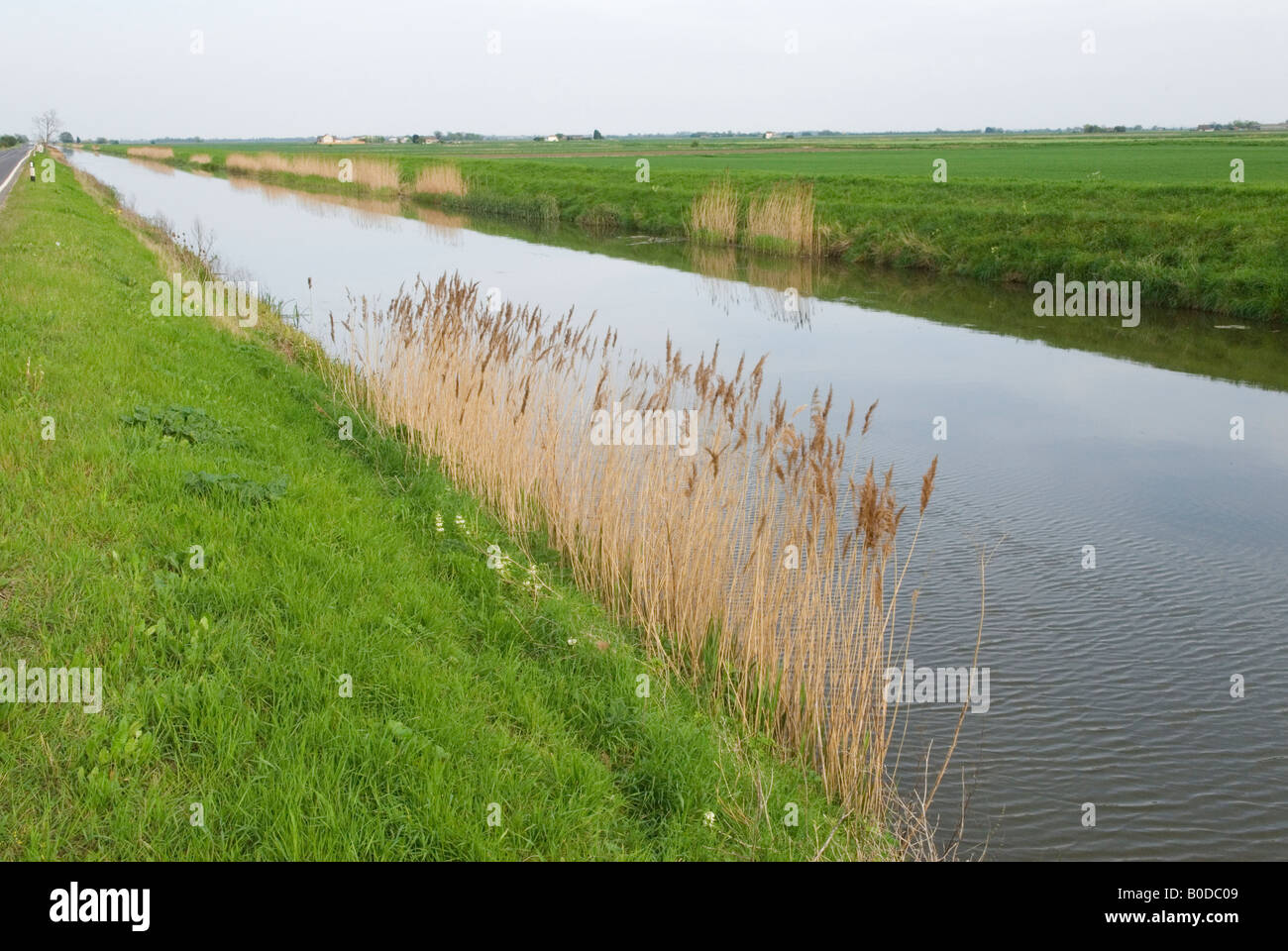 Ramsey 40 Fuß, 40 Fuß Abfluss. Die Fens Cambridgeshire 2008 2000s UK. HOMER SYKES Stockfoto