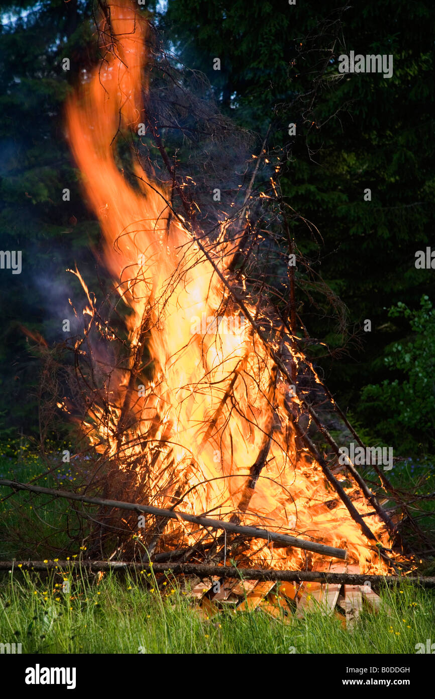 Brennendes Feuer im Freien im Wald, Finnland Stockfoto